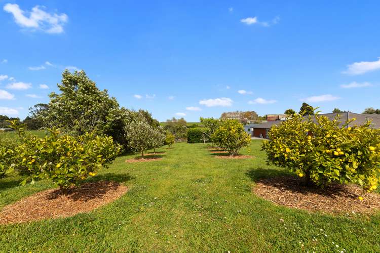 42b Paddy Road Te Kauwhata_24