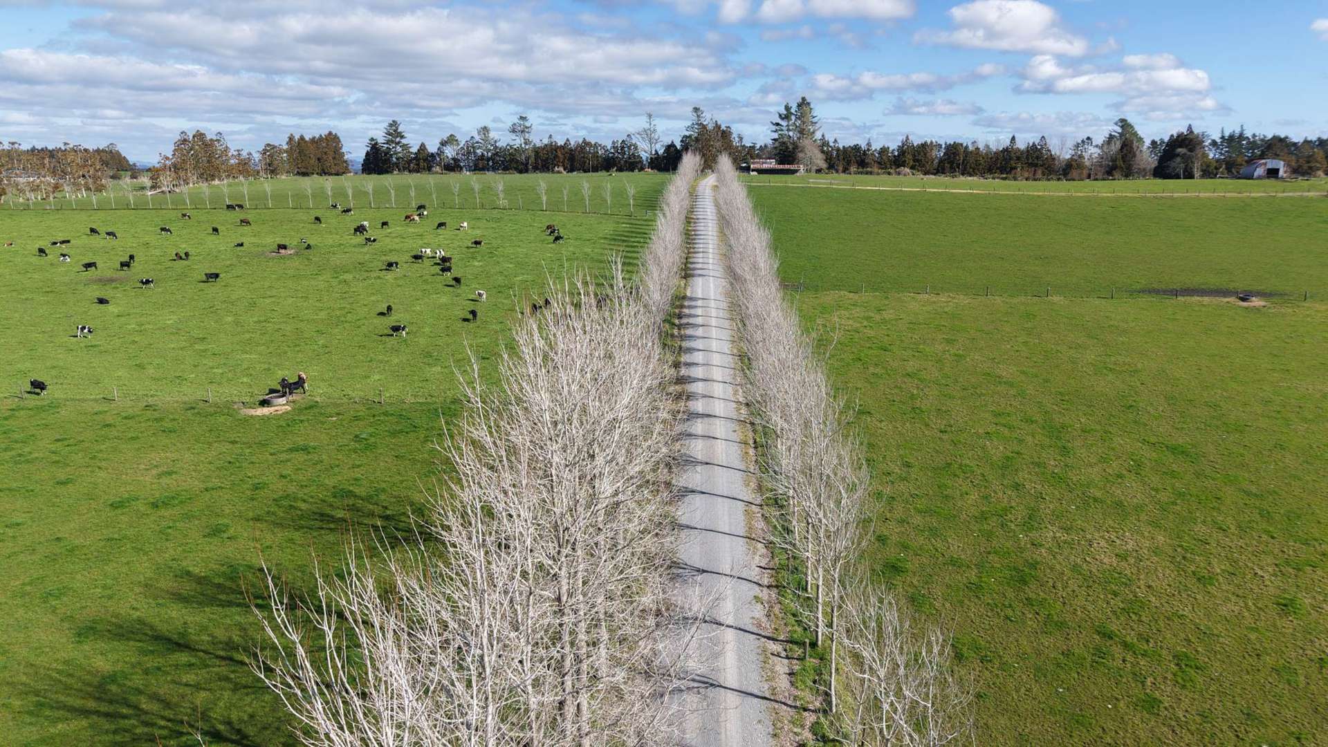 Waiare Road Kerikeri_0