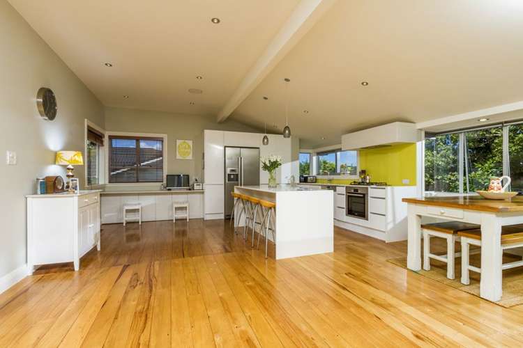 17 Merani Street Narrow Neck_6