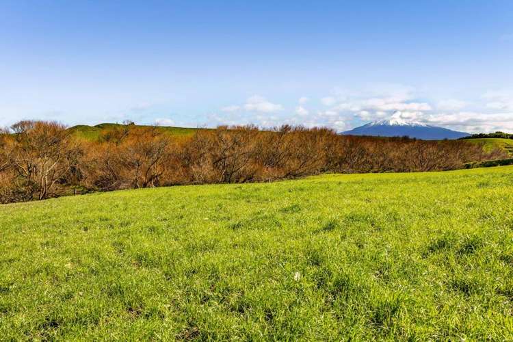 5B2A Hastings Road Okaiawa_5