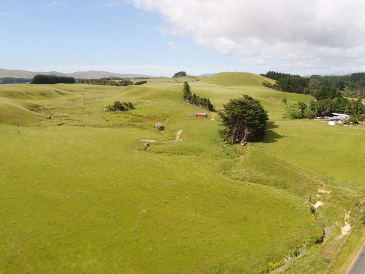 127 North Road Eketahuna_0