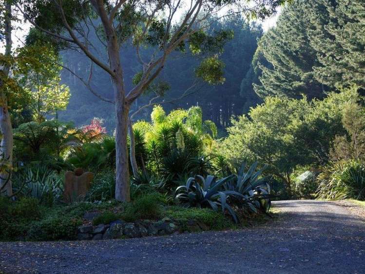 207 Scotsman Valley Road Tauwhare_18