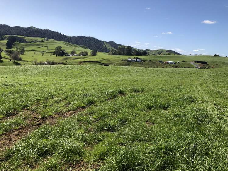 1026 Limeworks Loop Road Karamu_39