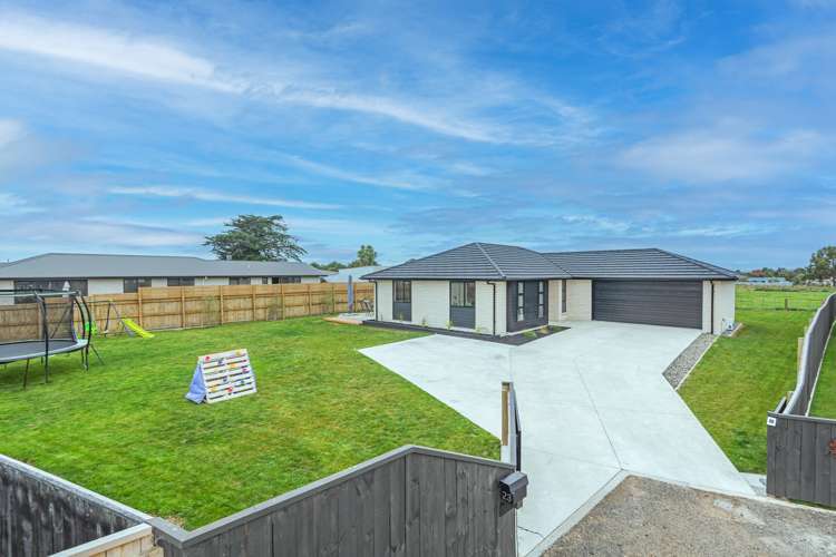 23 George Street Bulls_14