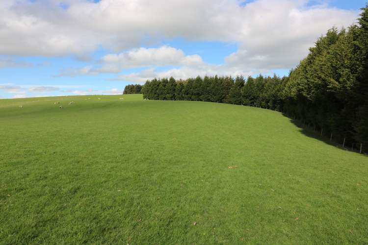 348 Keppoch Road West Otago Surrounds_16