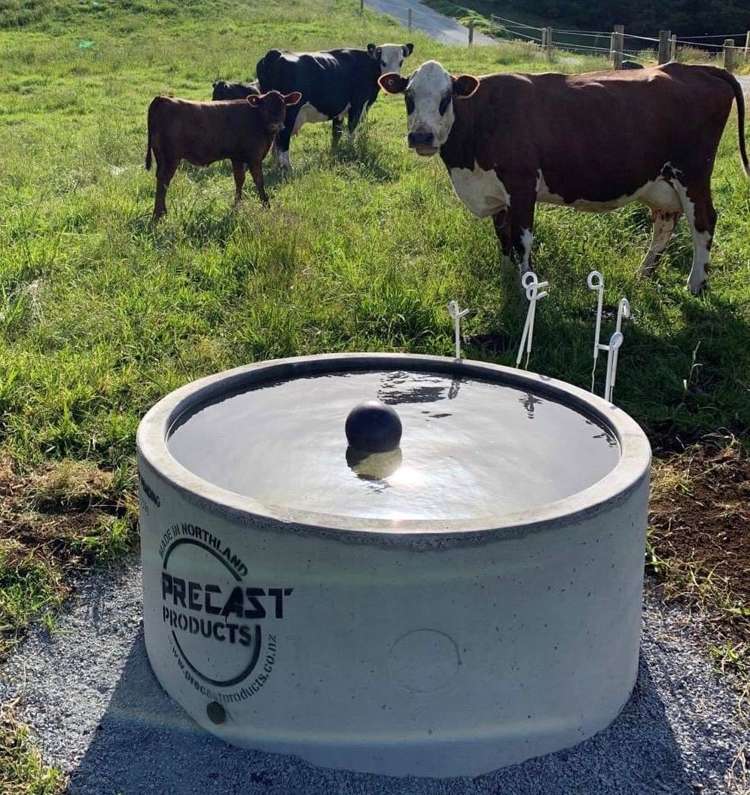 Pataka Lane Waipapa_21