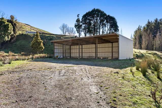 145 Mangarei Road Bideford_3
