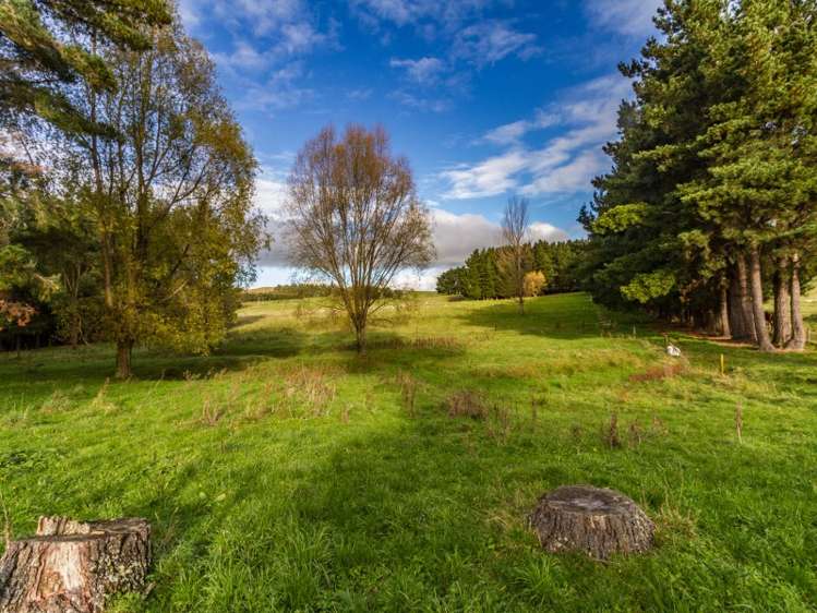 193 Mikimiki Road Mikimiki_14