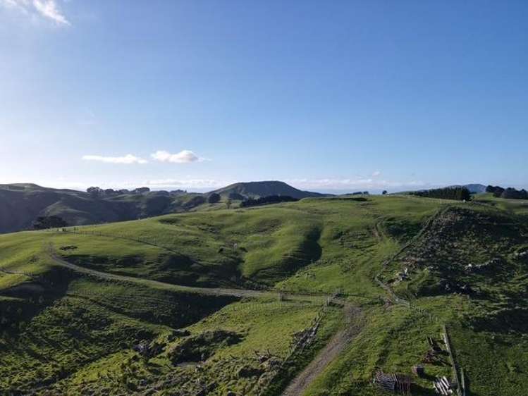 2256 Weber Road Dannevirke_7