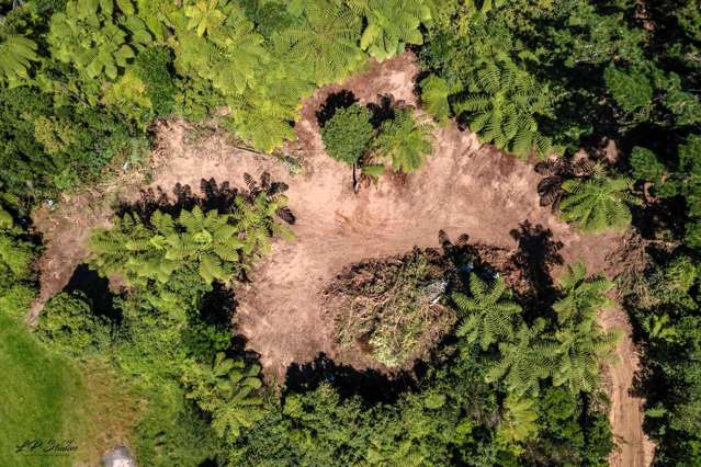 Te Paki Road Shannon_1