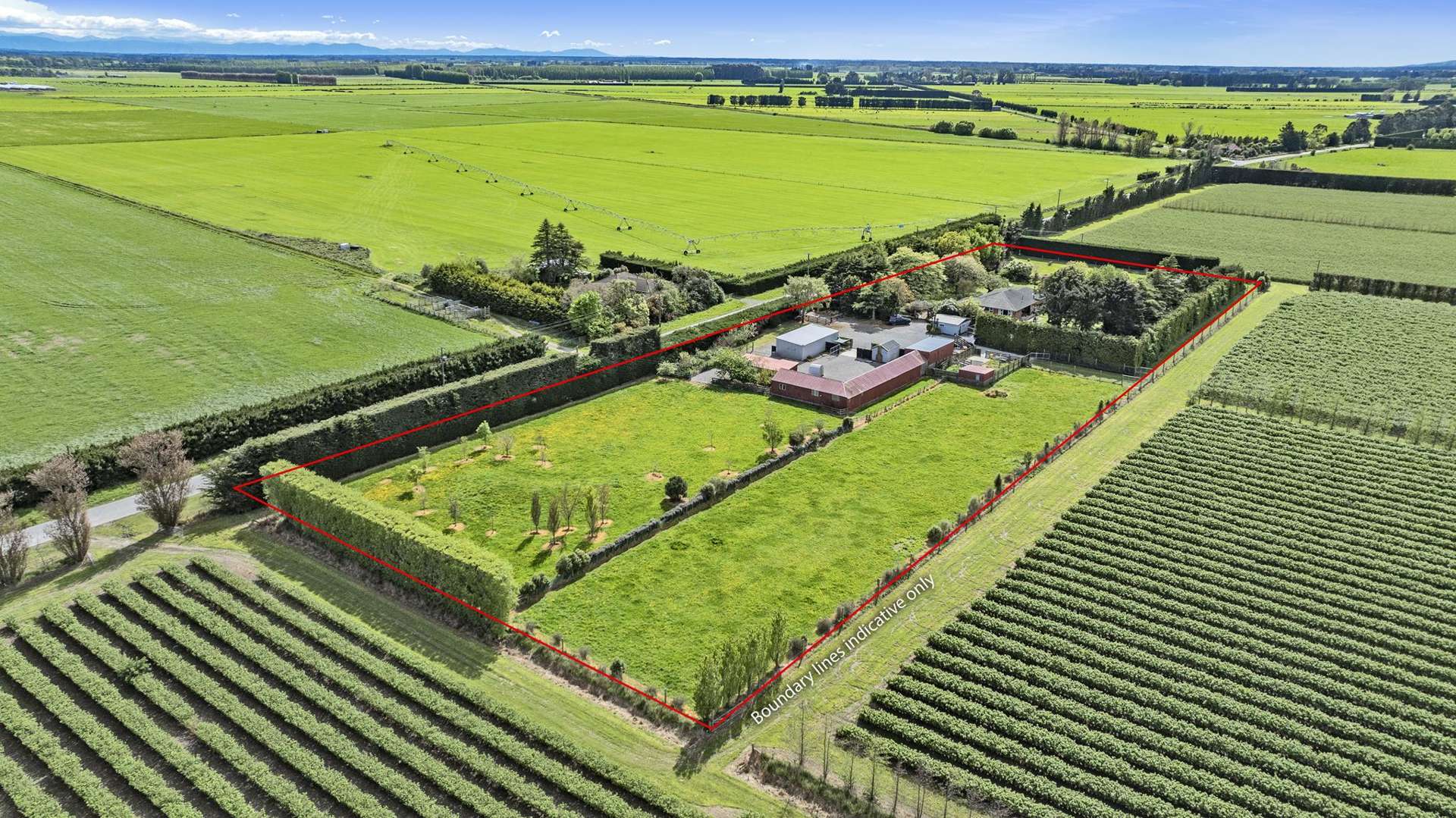 1137 Drain Road Leeston_0