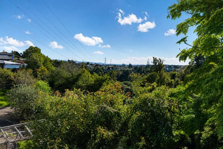 3/17 Cape Horn Road Mount Roskill_17