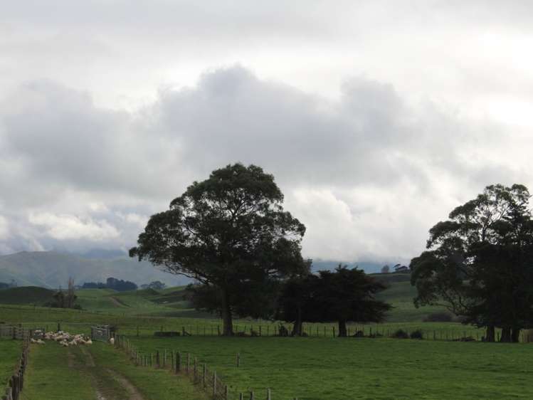 86 Glengarry Road Dannevirke_20