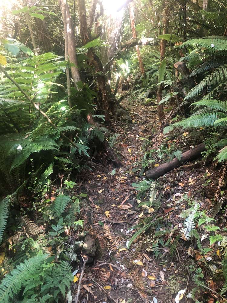 245 Stony Bay Road Akaroa_27