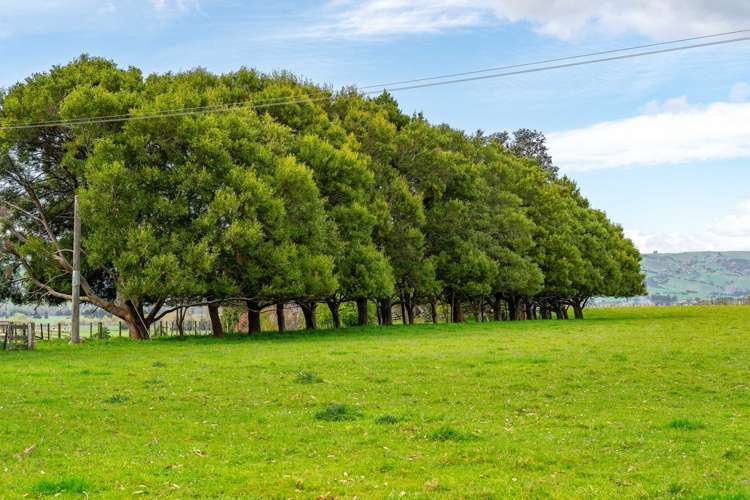 715b East Taratahi Road Carterton_8