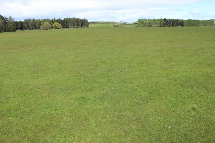 282 Mckenzie Road Browns_11