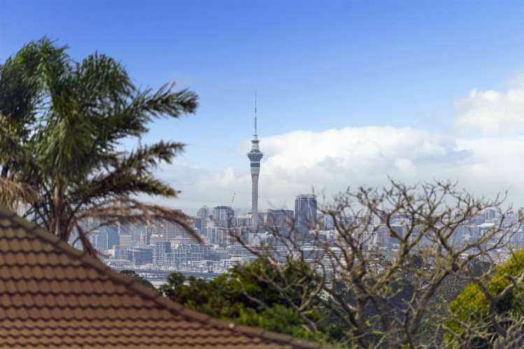 21 Balmain Road Birkenhead_1