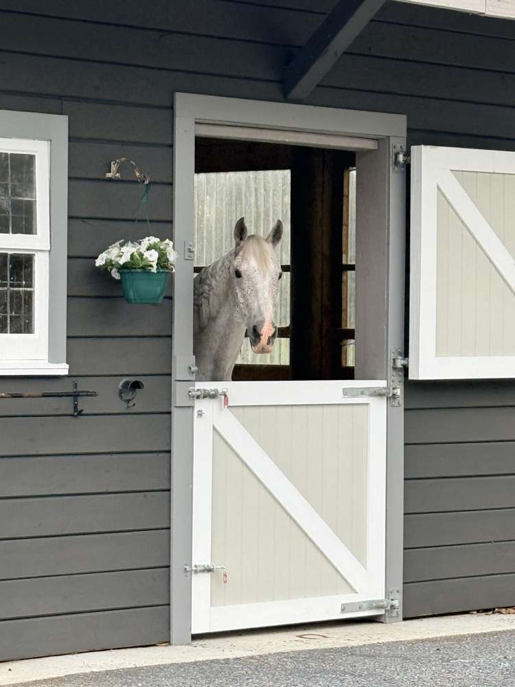 28 Arcus Road Te Horo_41