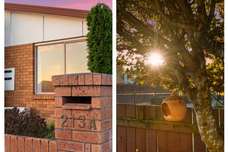 213a Fifteenth Avenue Tauranga South_2