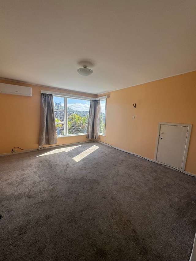 44 Pitt Street Wadestown_3