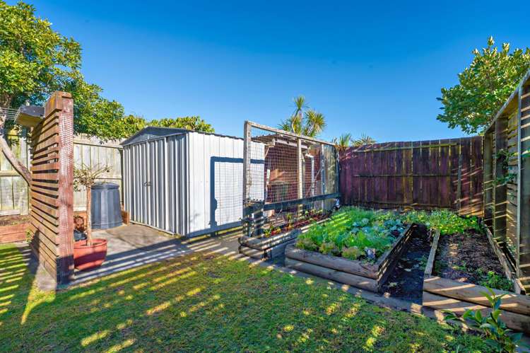 6 The Glebe Coastlands_15