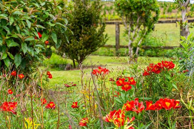 4317 State Highway 12 Aranga_4