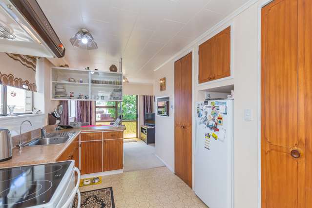 169 Tiro Tiro Road Levin_4