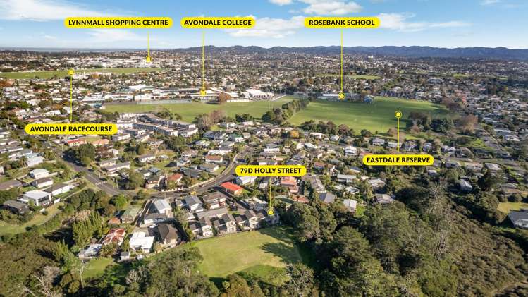 79d Holly Street Avondale_19