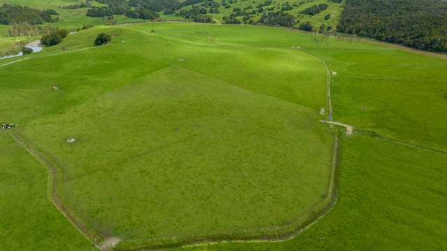 Lot 3 Pukehuia Road Arapohue_3