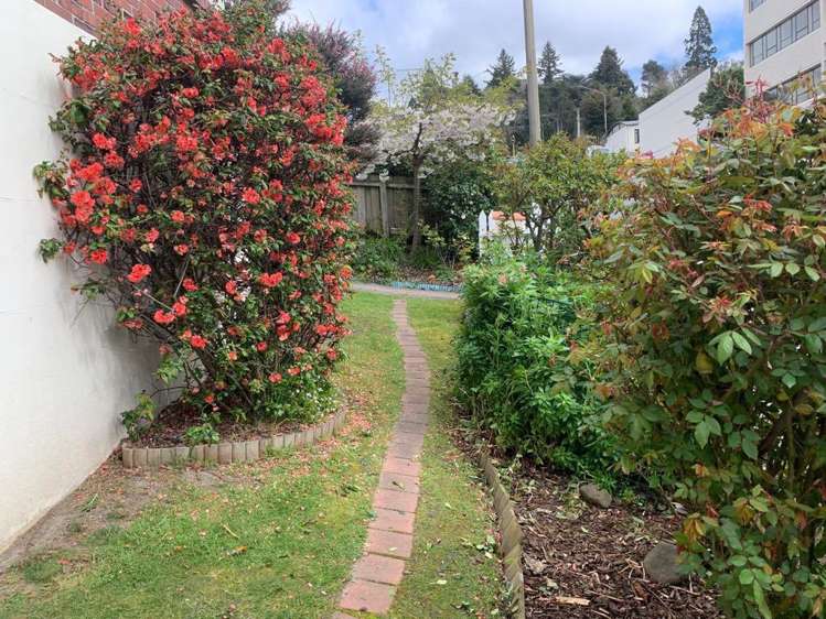 331 Rattray Street Dunedin Central_23