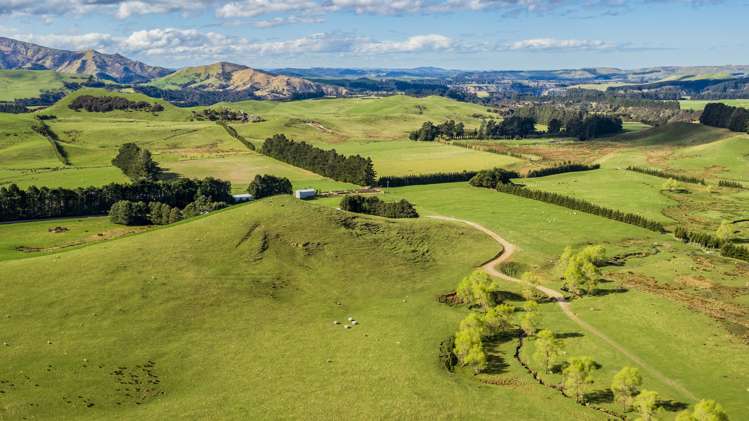 463 Gull Flat Road Central Hawkes Bay Country_14