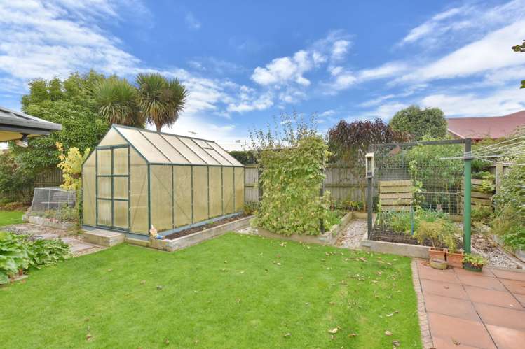 19 Lexington Place Shirley_25