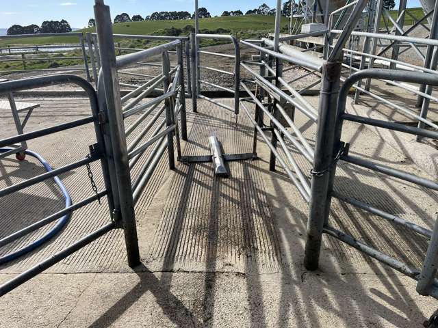 414 Glenn Settlement Road Georgetown_4