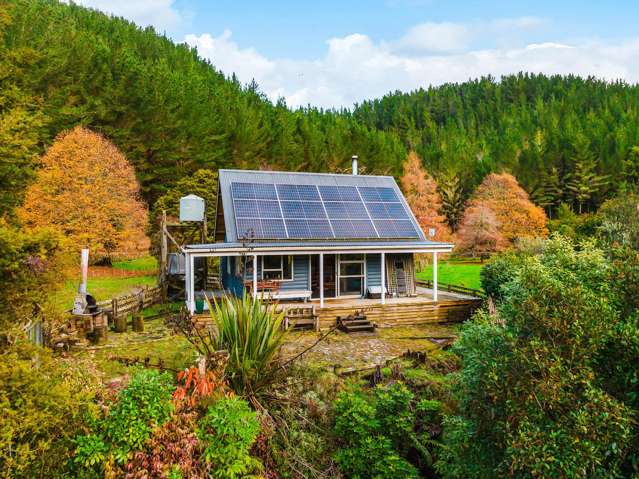 2005 Ongarue Stream Road Waimiha_4