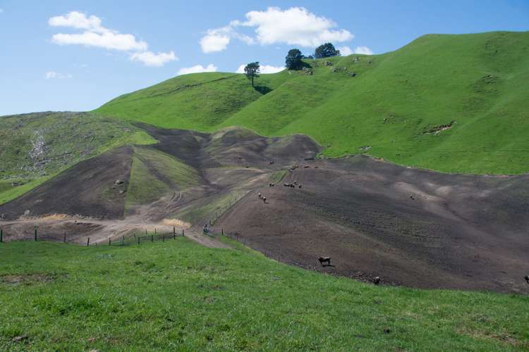 44 Coates Road Waikite Valley_22