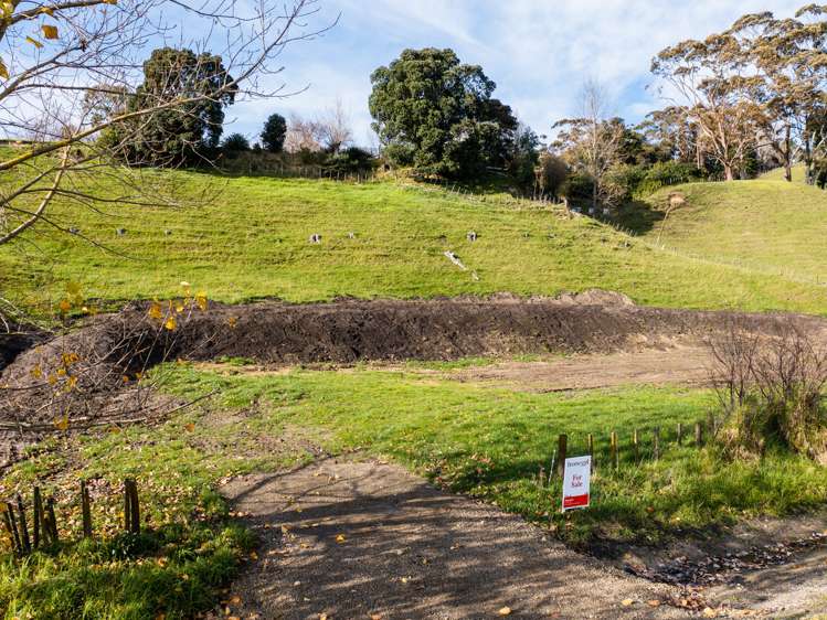 28 Montrose Street Kaiti_10