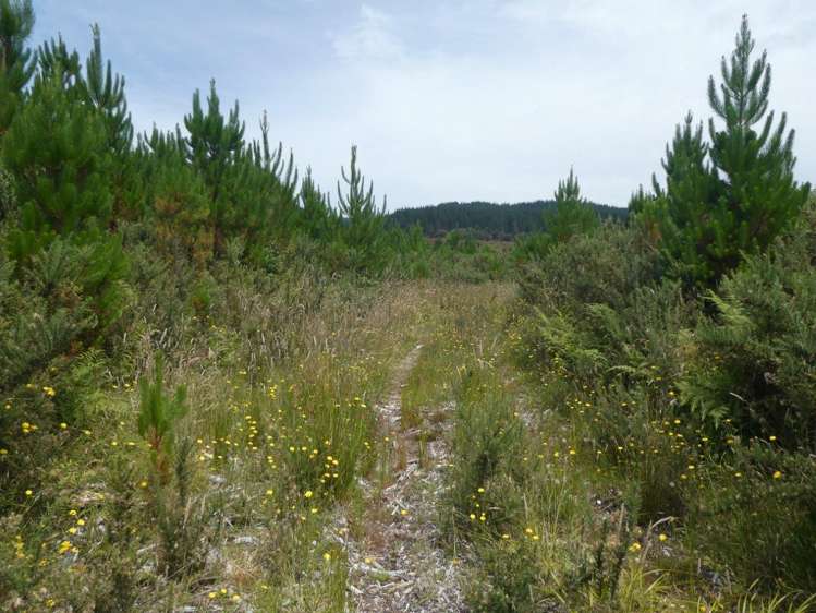 Camerons Road Marsden_8