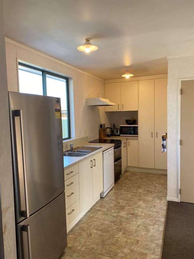 55A Moorhouse Street Morrinsville_2