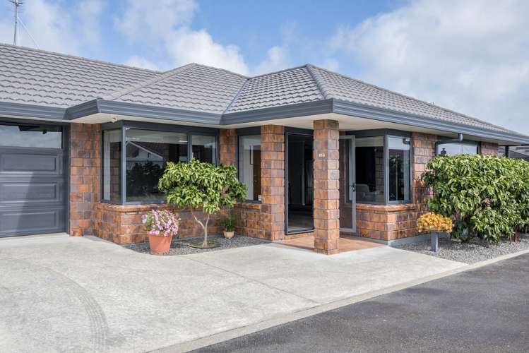 63a Winchester Street Levin_0