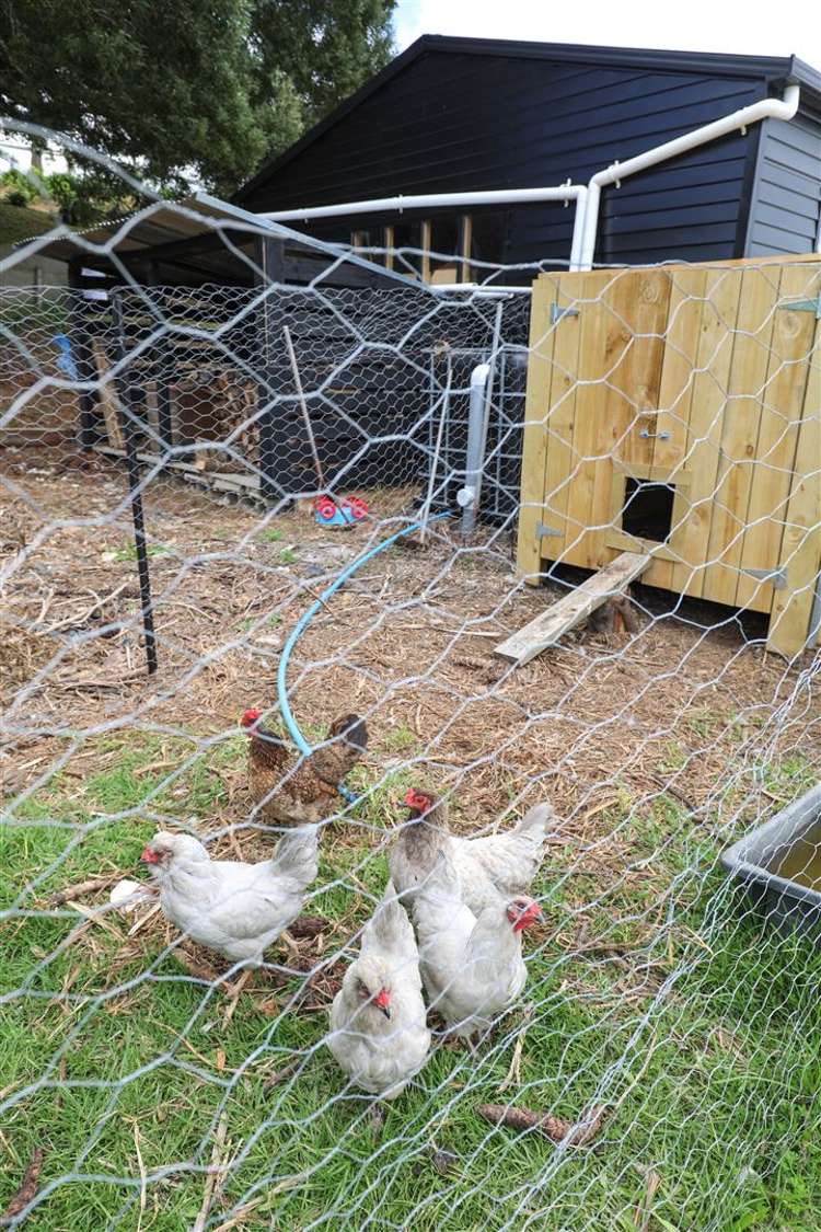 163 Kimihia Road Huntly_29