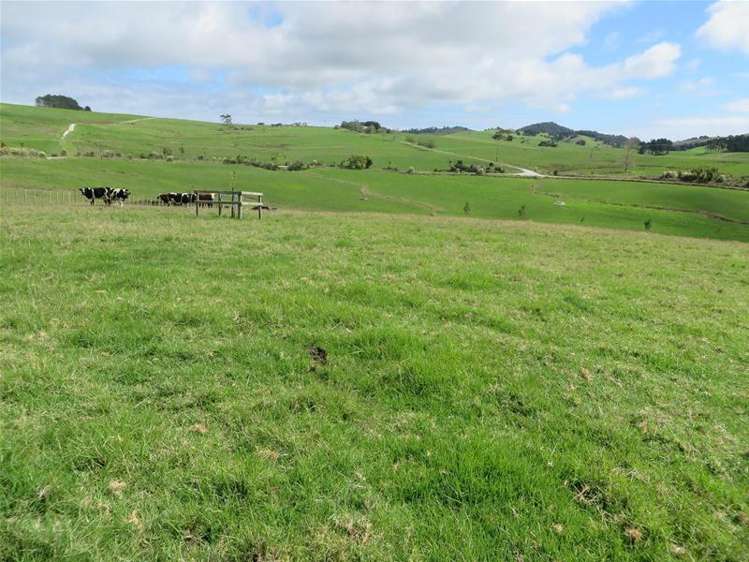 Ovens Road Matakohe_4