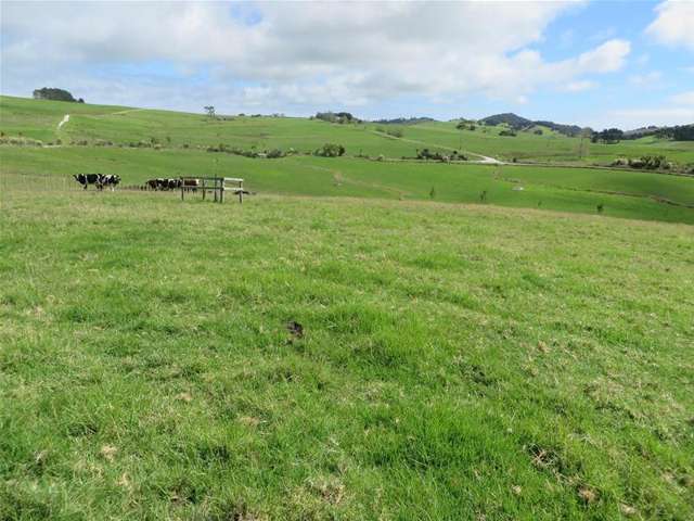 Ovens Road Matakohe_4