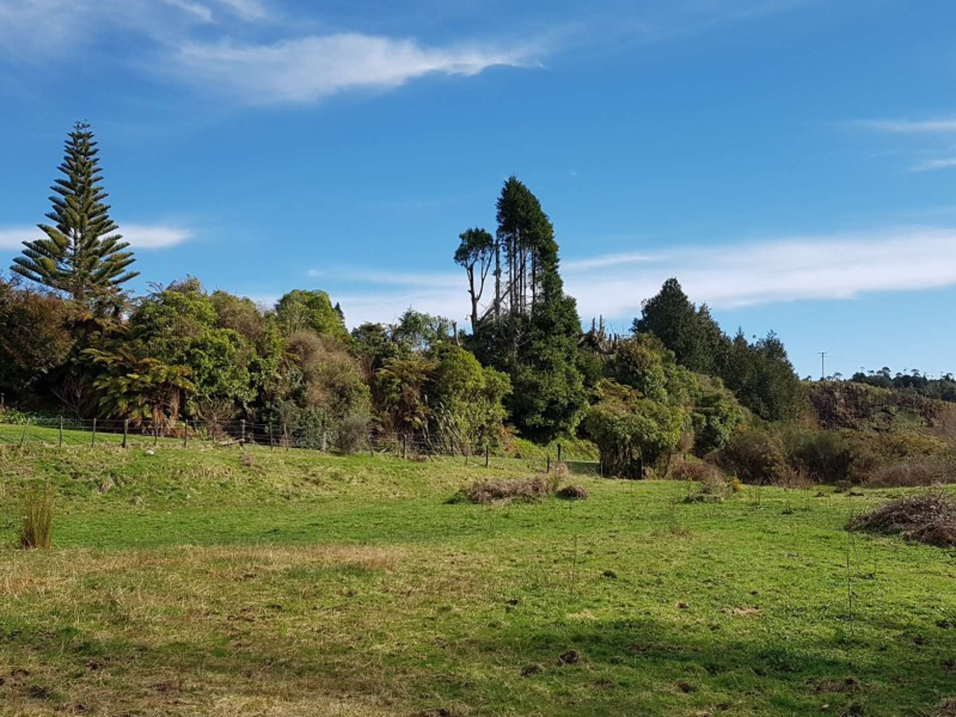 336 Woodstock-Rimu Road Ruatapu_0