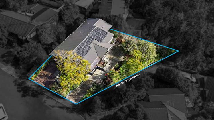 14 Learmonth Avenue Birkenhead Point_42