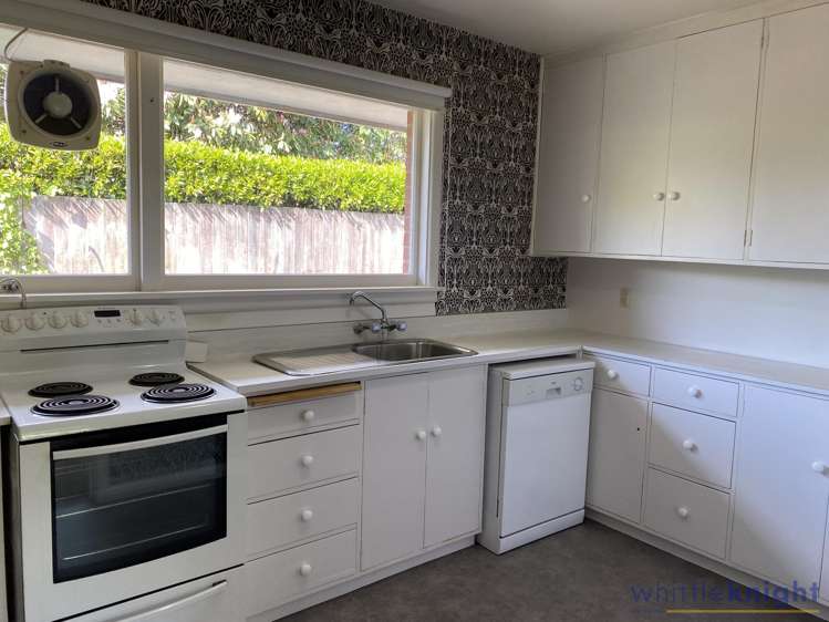 30a Wroxton Terrace Merivale_4