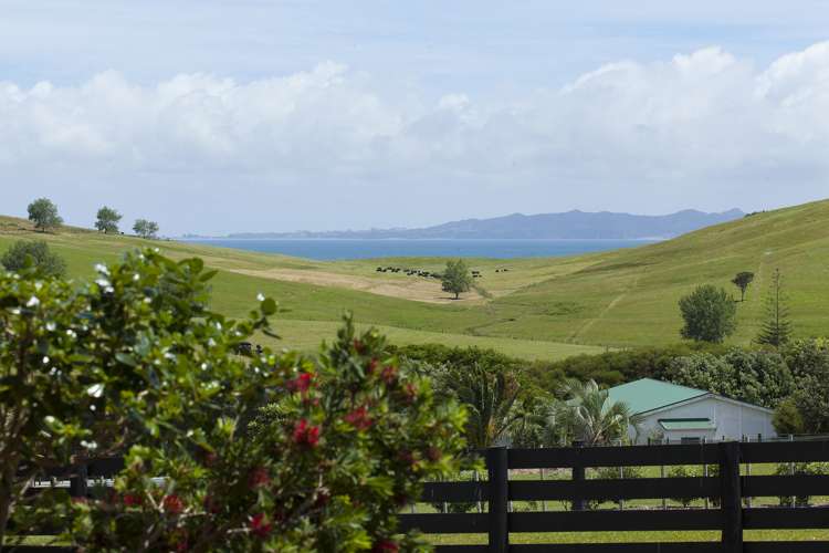 9 Taipa View Road Taipa_8