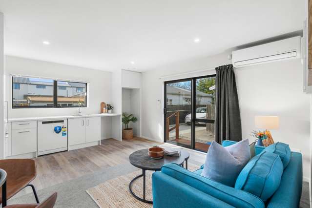 45B Ryan Street Phillipstown_3