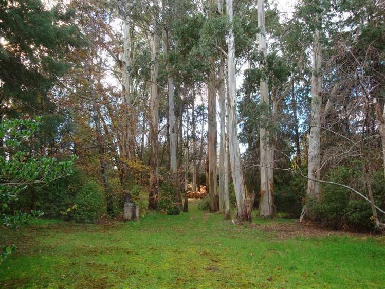 7 Sutton Road Fairview_14