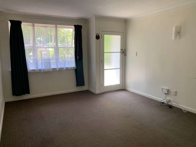 3/123 Selwyn Street Onehunga_3