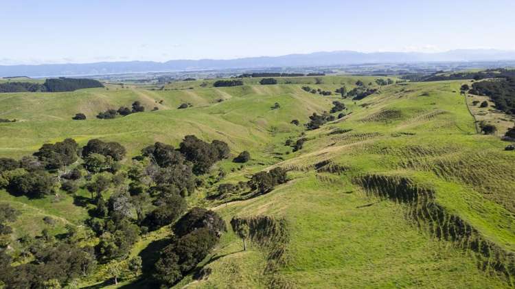 453 Dry River Road Martinborough_17